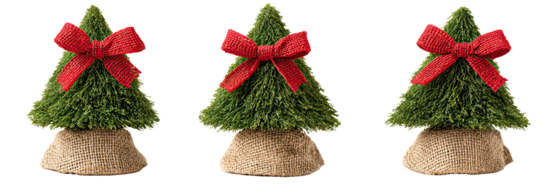 Three mini green Christmas trees wrapped in burlap bases with red ribbons on transparent background