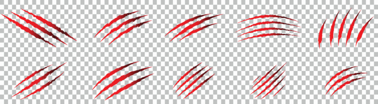 Set of ten different red color animal claw scratch marks or slashes isolated on transparent background for horror or danger design element