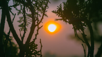 Rich Colorful Nature Background Vibrant Outdoor Scenery