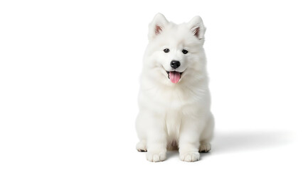 Obraz premium Cute dog on white background Generative AI 22359684 1