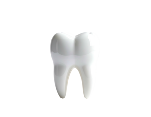 A solitary, gleaming white molar against a stark black background, casting subtle shadows and displaying gentle curves