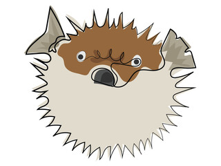 Puffer fish in a continuous line drawing