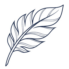 Obraz premium Elegant dark blue outline drawing of a single feather with delicate lines and curves on a clean white background representing lightness and nature