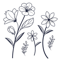 A collection of delicate hand drawn line art floral elements including blooming flowers buds and leaves in a simple elegant design perfect for various creative projects