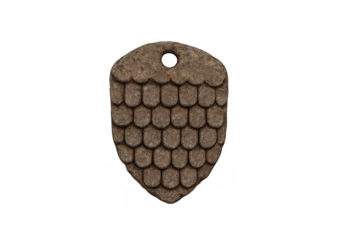 Ancient protective shield scale finding archeological artifact