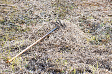 レーキで集められた稲藁