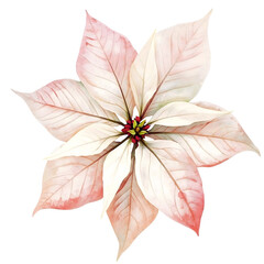 poinsettia flower clip art cristmas
