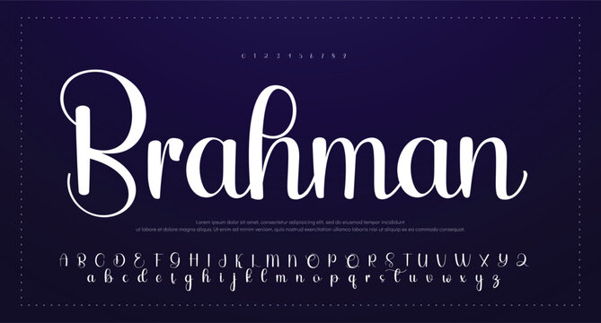 Script Elegant Signature Typeface. Lettering signature font isolated on grey background. brus style alphabet. Vector logo letters.