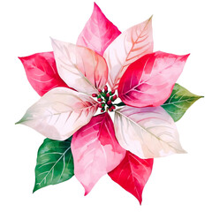 poinsettia flower clip art cristmas