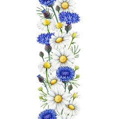 Chamomile with blue cornflowers flowers seamless border decor element vintage style watercolor illustration. Hand drawn wildflower meadow flowers floral rustic decoration on white background
