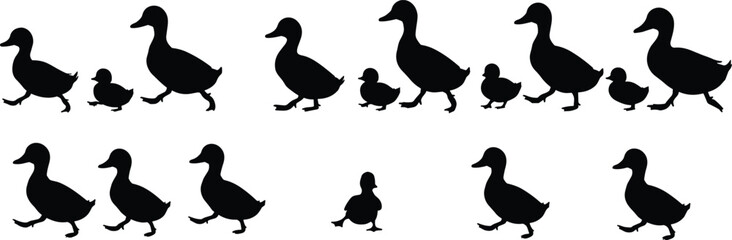 Duck silhouettes walking in two rows, adult ducks with ducklings, animal family illustration, wildlife pattern, educational nature design artwork