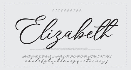 
signature Font Calligraphy Logotype Script Brush Font Type Font lettering handwritten. vector illustration 