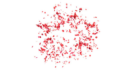 Flower petals flying here in the wind. Several red flowers. Isolated on alpha background. 3D rendering.