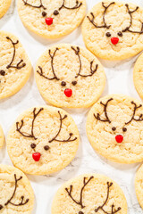 Box of Easy Last Minute Reindeer Sugar Cookies