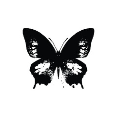 Black and white illustration of a butterfly with detailed wings grunge vintage retro vector art