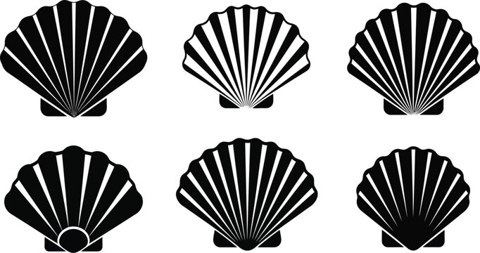 A collection of six black and white scallop shell illustrations in a grid