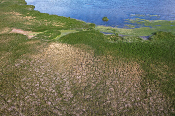 Aerial view of wetlands and marshes on the shores of a lake