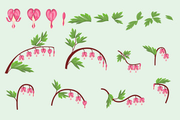Bleeding Heart Flower Botanical Elements Collection