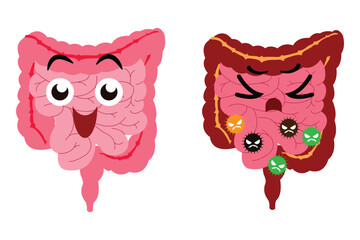 Healthy and unhealthy intestines illustration showing cheerful gut versus infected, irritated digestive system.