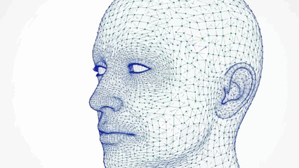 Digital representation of a human head in profile view.