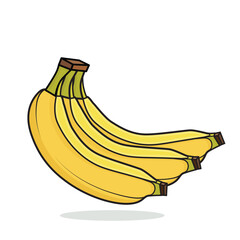 Banana. banana fruit.peeled banana. cut banana cartoon vector icon design illustration. bananas