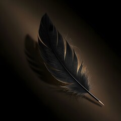 feather on black background