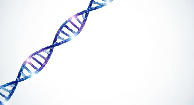 A DNA double helix on a white background.