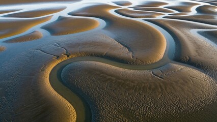 Aerial view of winding tidal channels forming abstract patterns on coastal sand.