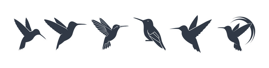 Set of hummingbird silhouettes in various flight poses isolated on white