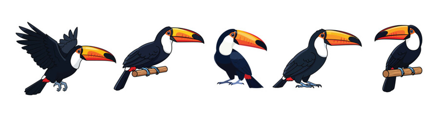 Obraz premium Vibrant cartoon toucan illustrations in diverse poses, perfect for tropical designs and playful concepts