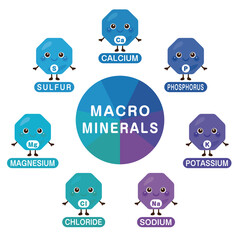 多量ミネラルのキャラクターイラストセット　英語／Macrominerals Character Illustration Set &ndash; English Version