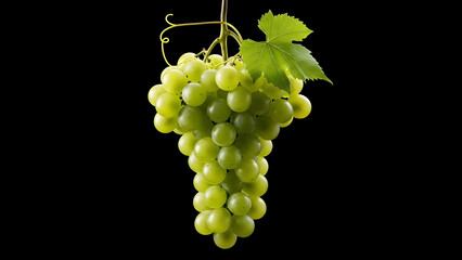 A beautiful, fresh bunch of green grapes with a single leaf hanging against a stark black background, studio shot