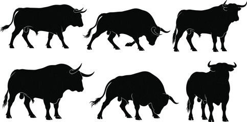 Set of black bull silhouettes, vector illustration of angry fighting bulls in various poses, isolated animals standing and charging on white background.