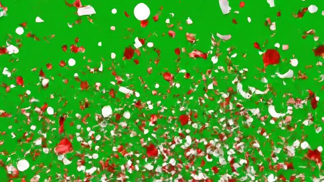 Red and white confetti explosion isolated alpha channel animation, Black Friday celebration and big sale, shopping social media motion design elements. 