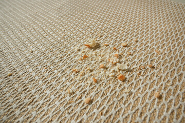 Crumbs scattered on carpet in bright sunlight