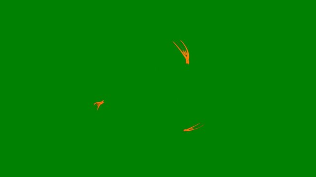 A green background with white border and gold design on it deer head picture of bird flying in the air an image screen woman sky two birds green screen animated chromakey background