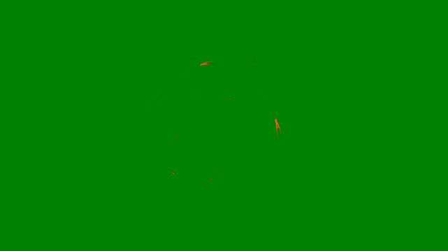 A green background with white border and drawing of an elephant picture person horse on screen bird flying in the sky image two birds green screen animated chromakey background frame