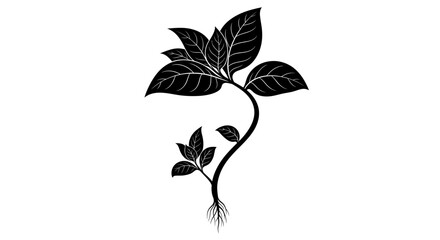 Black and white illustration of a young plant with leaves and roots. © Puput_Kinasih