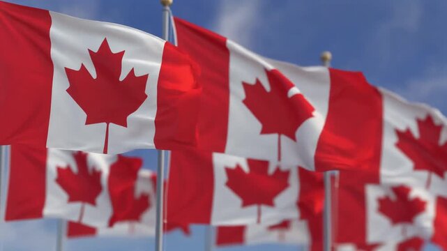 Flowing Canadian flags under a bright blue sky