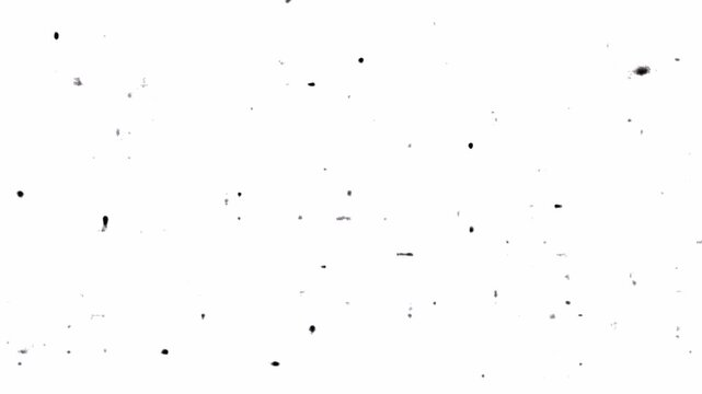 filmgrain. Black dots and small scratches on the white screen. Grunge Texture Overlay, Animated Dust Effect white background 4K video.