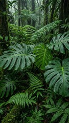 Fototapeta premium Lush Tropical Monstera and Fern Leaves in Moody Rainforest 2
