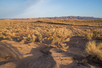 Sands of the Gobi Desert, Mongolia