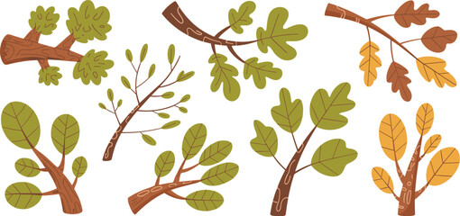 Collection of stylized cartoon tree branches, fresh green summer foliage, and colorful fall autumn leaves including oak and simple oval shapes, perfect isolated botanical vector graphic resource for k