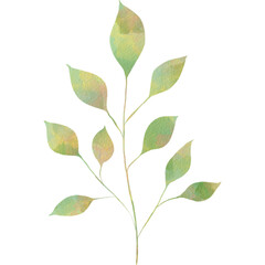 水彩風の葉っぱイラスト