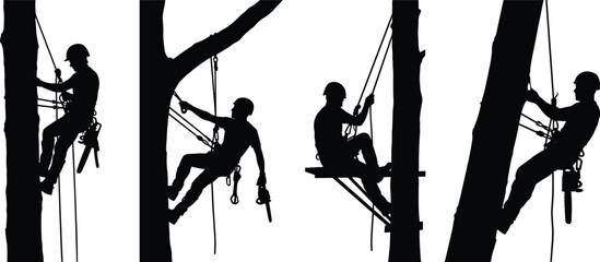 Professional Tree Climbing Arborists Silhouette Collection: Working High on Trunks, Chainsaw Safety, Skilled Tree Surgeons, Forestry and Landscaping