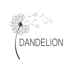Dandelion logo simple vector and symbol