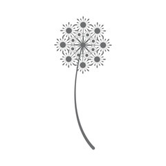 Dandelion logo simple vector and symbol