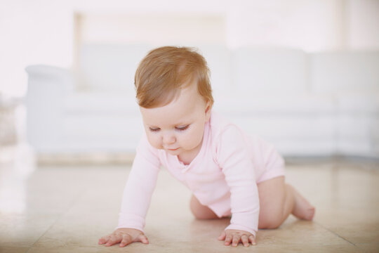 Baby girl, crawl and wondering in living room for exploration, growth and early childhood development. Curious, child and mobility on floor for wellness, coordination and fine motor skills in home.