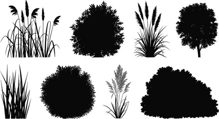 Diverse collection of black tree, ornamental grass, shrub, and bush silhouettes, ideal for landscaping graphics and nature design elements.