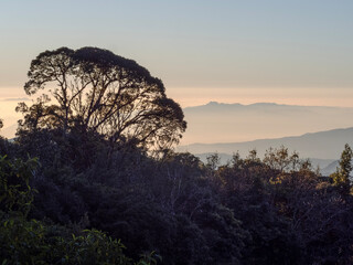 Beautiful landscape of Doi Inthanon national park in the morning at Mae Jam, Chiang Mai, Thailand.